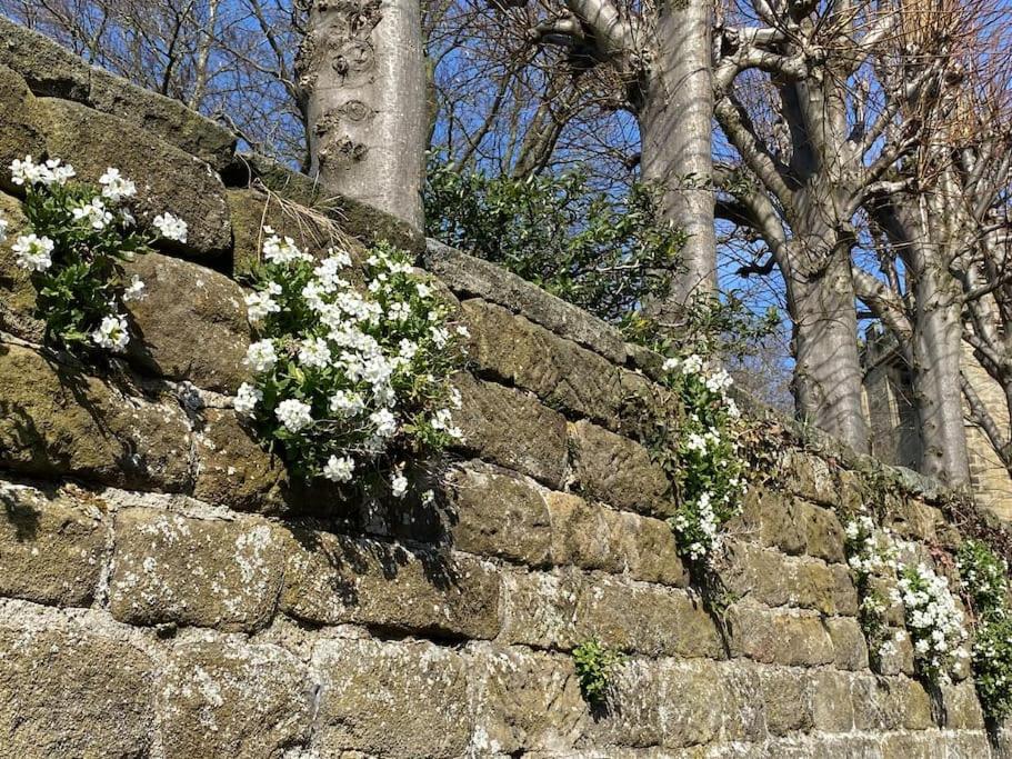 Garden Cottage - Ashover Village Near Matlock Chesterfield Eksteriør billede